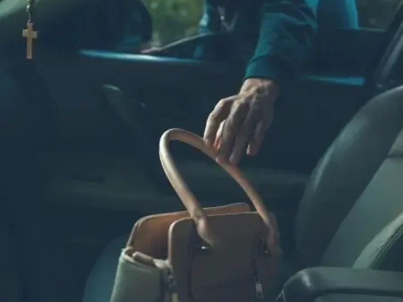 Purse Snatch From Inside Vehicle - Thumbnail