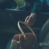 Purse Snatch From Inside Vehicle - Thumbnail